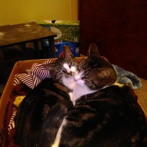 Meet your Posher, Lenora